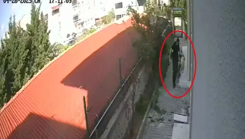 Veteriner Doktorun Şok Edici Suçu: Sahiplendiği Köpekleri Öldürdü