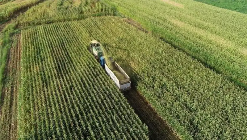 2025 Mart Ayı Mazot ve Gübre Desteği Ödemeleri İçin Bekleyiş Sürüyor