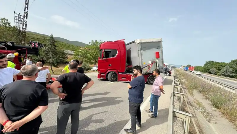 Seyir Halindeki Araçta Arı Soktu: Trafik Kilitlendi ve Şok Olundu