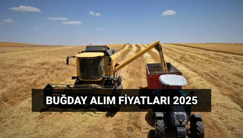 Hububat Alım Ücretleri ve 2025 Fiyatları Açıklandı!